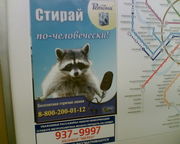 Реклама Мебота в Московском метро