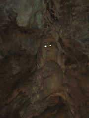 Гном, хозяин пещеры Трехглазка